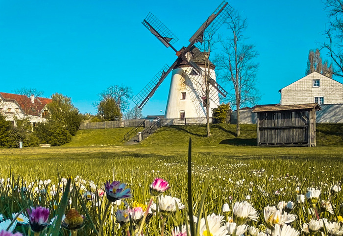 Die Windmühle von Podersdorf am See.